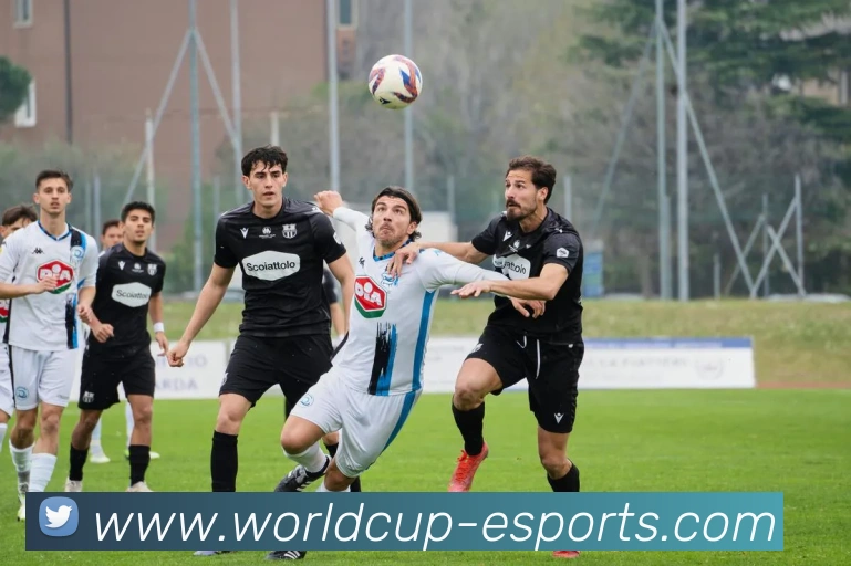 世界杯买球发展历程